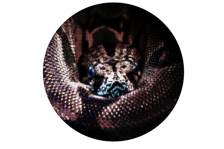 Trust in Me, Just in Me